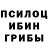 Псилоцибиновые грибы мицелий AtomGirl