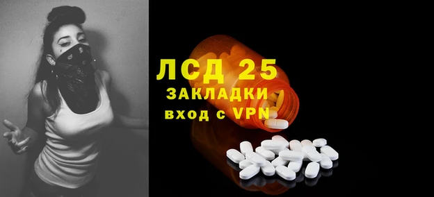 экстази Гусев