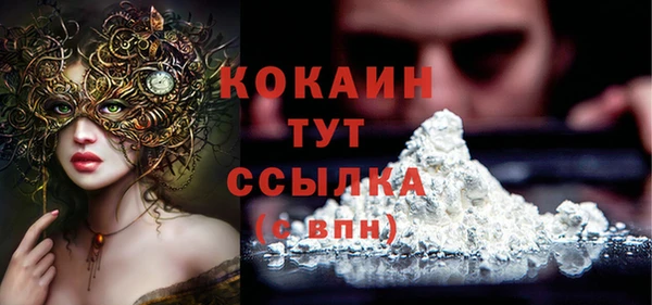 экстази Гусев