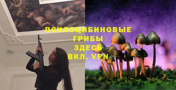 экстази Гусев