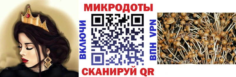 Купить где  Серов  Галлюциногенные грибы Psilocybe 
